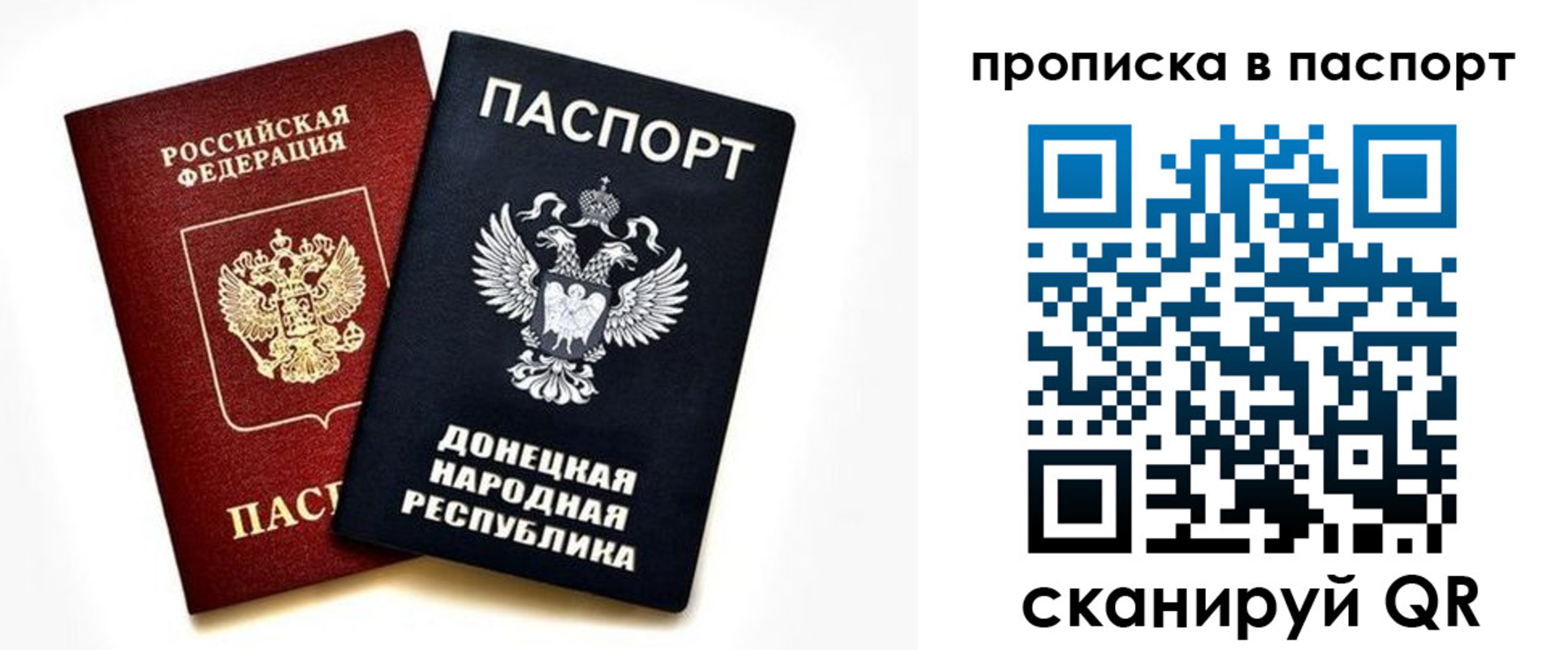 пропишу в квартире в Курской области